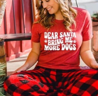 Dear Santa Screen